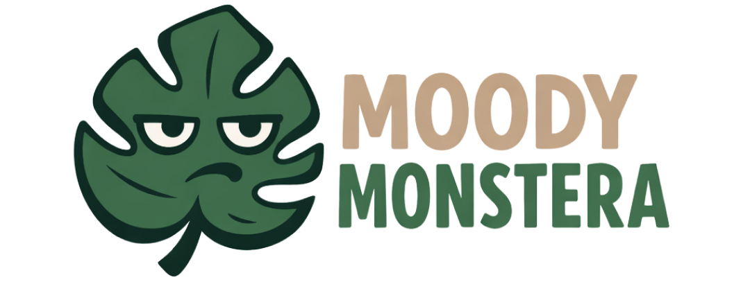 Moody Monstera